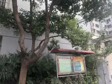 全明电梯房,低总价