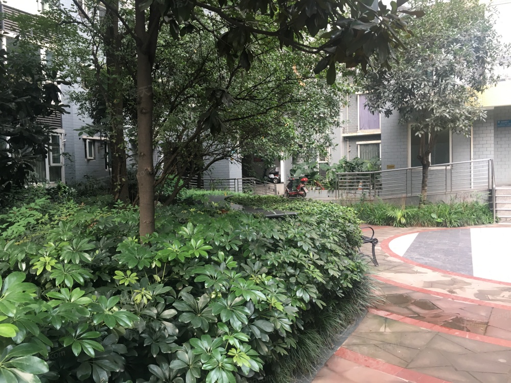 小区相关图
