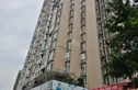 紫东锦源实景图