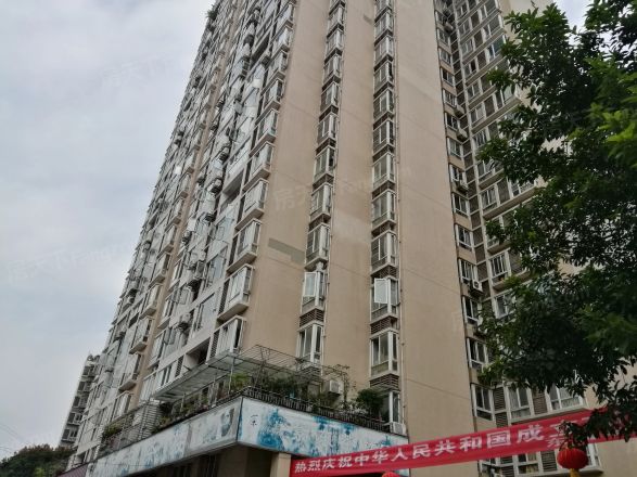 紫东锦源实景图