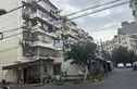 丰庄十三街坊实景图