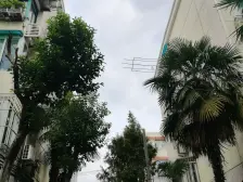 南码头板块 低总价 好楼层 房东和我很熟 看中可协商