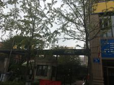 城投东庐3室1厅北