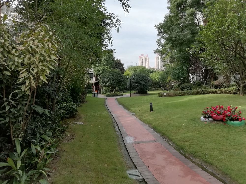 小区相关图