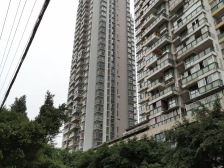 鱼洞 玉豪龙庭一房45万