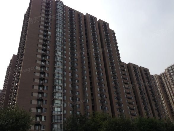 和谐雅园实景图