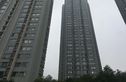 云水苑实景图