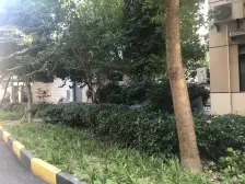 西看三件套 北看黄浦江夜景 电梯全明三房+地暖