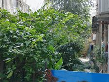 现场实勘无抵押产权清晰急售房源洛川路小区