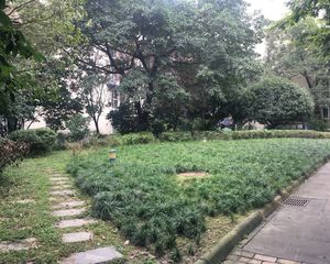 河畔华苑二期 2室2厅 东