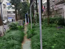 南码头·南码头路193弄·1室·1厅