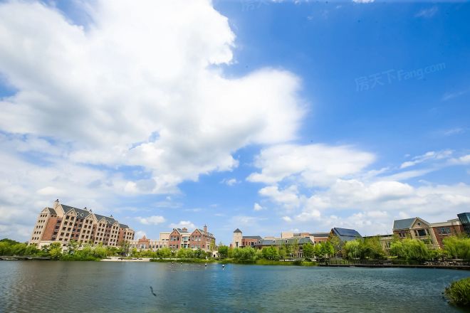 龙湖·天宸原著二期实景图