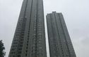 云水苑实景图