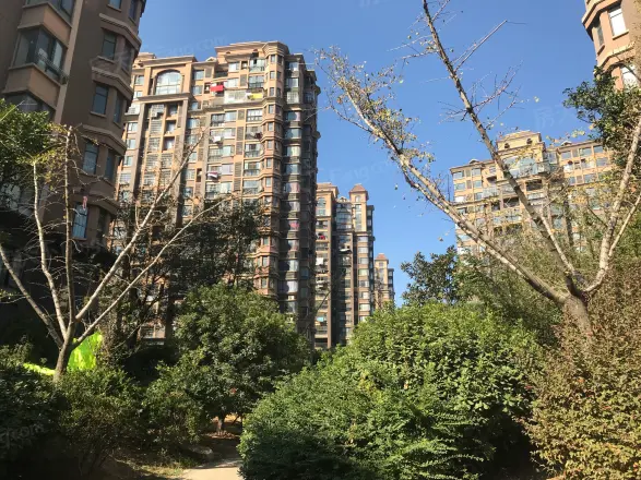 洪城东方国际实景图