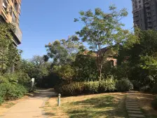 高铁东站 xue校旁 小户型精装 价格实惠 急售