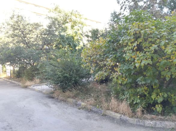 银山小区实景图