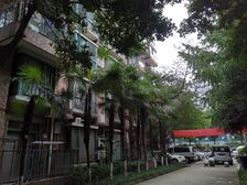 水漪袅铜3室2厅东西