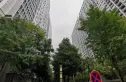商鼎国际实景图