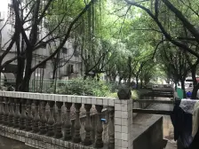 乔鹤佳苑 3室1厅 东南