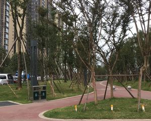 保利紫薇花语 3室2厅 东北