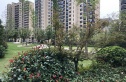 绿地林肯公园实景图