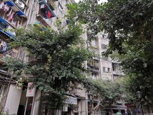 长寿苑1室1厅南