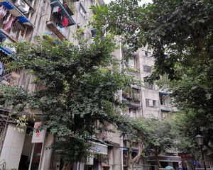长寿苑1室1厅南