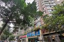 水漪袅铜实景图