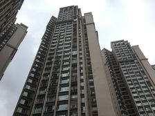 四季映像1室1厅东东南