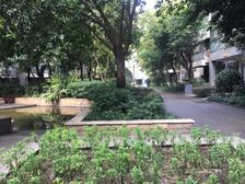 华宇阳光四季2室1厅东南