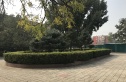 修造厂四区实景图