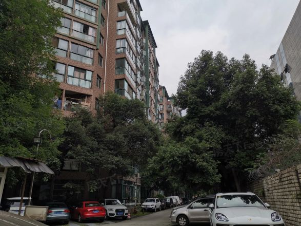 水漪袅铜实景图