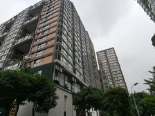 曼哈顿自然派1室1厅南