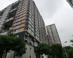 曼哈顿自然派3室2厅西北