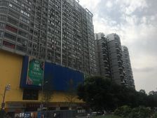 东立国际广场1室1厅西南