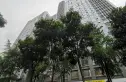 商鼎国际实景图