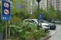 天怡福园实景图
