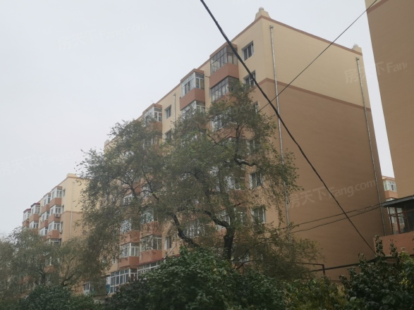 民安小区
