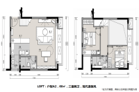 LOFTA2户型图