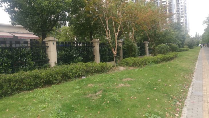 泰翔嘉苑实景图
