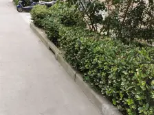 三林·凌兆新村-凌兆路256弄·2室·1厅