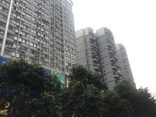 东立国际广场1室1厅东南