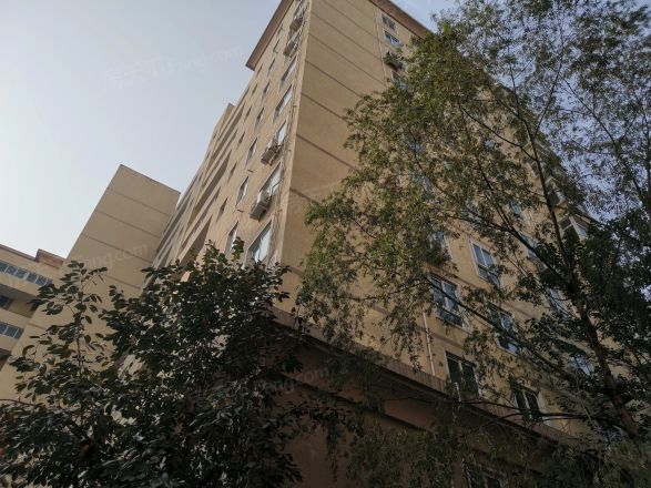 美好家园实景图