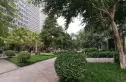 商鼎国际实景图