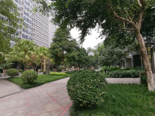 商鼎国际实景图