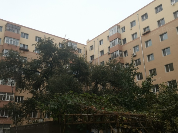 民安小区