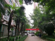 水漪袅铜3室2厅东西