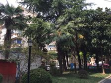 客厅带阳台、交通便利、居家装修、南北通透净