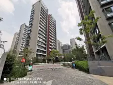 次新小区带会所,人车分流,小区C位视野好,户型正气