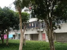 惠南镇独栋老洋房,花园200多平,内外精装修